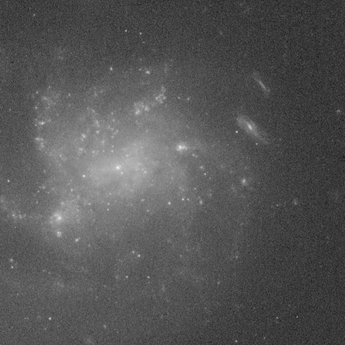 Arp 176 satellite galaxy before denoising, 1:1 crop